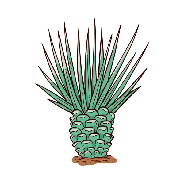 Vector Schets Cactus Pictogram Hand Getekend Woestijn Plant Met Naalden — Stockvector