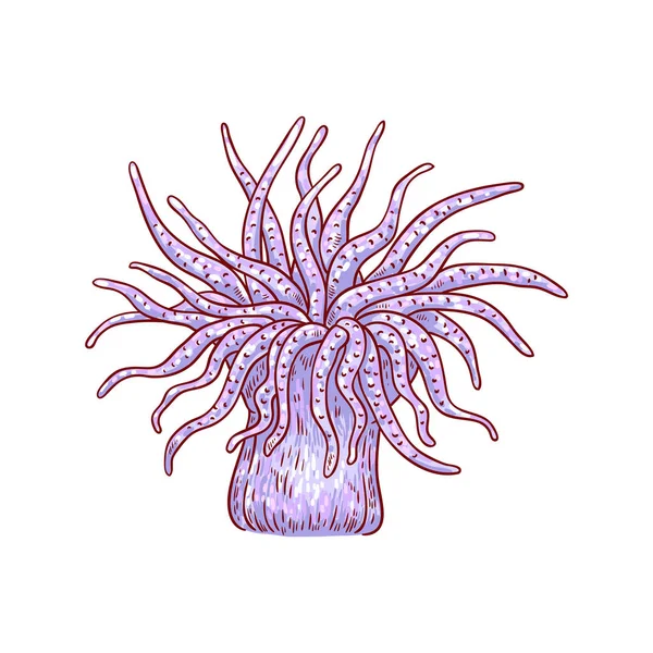 Vector rojo coral planta submarina icono del boceto — Archivo Imágenes Vectoriales