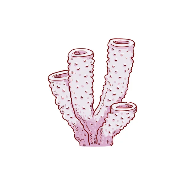 Vector rojo coral planta submarina icono del boceto — Archivo Imágenes Vectoriales