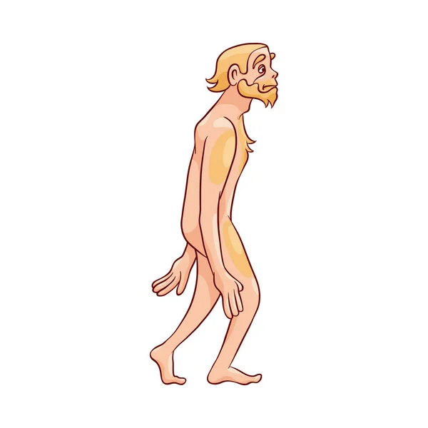 Vektorillustration des Neandertalers, der isoliert auf weißem Hintergrund wandelt. — Stockvektor