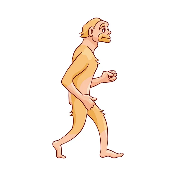 Vector bosquejo cavernícola mono-como caminar aislado — Archivo Imágenes Vectoriales