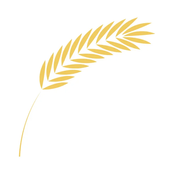 Oreille de céréales icône simple dans un style plat pour la boulangerie, l'agriculture biologique ou la conception de bière . — Image vectorielle