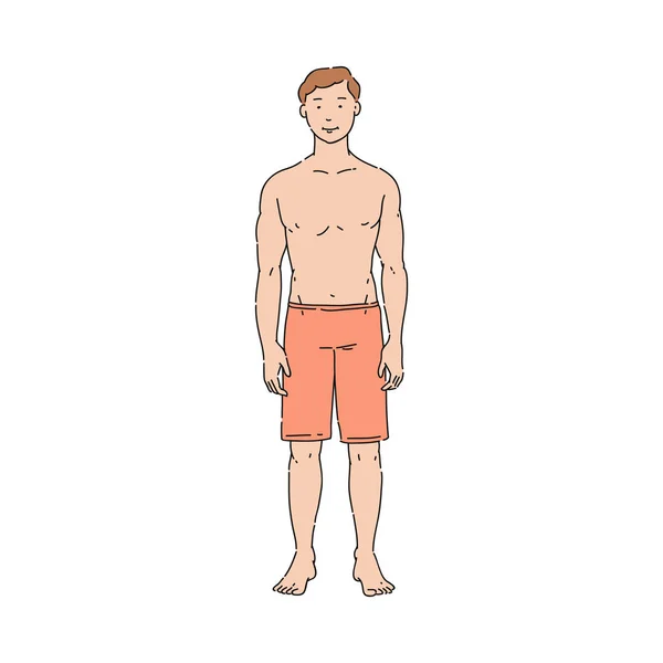 Vektor schlanker, gutaussehender Sportler mit fittem Körper — Stockvektor