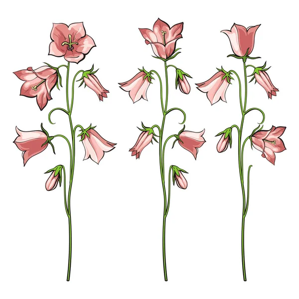 Rosa Glockenblumen Vektor Illustration im Skizzenstil gesetzt. — Stockvektor