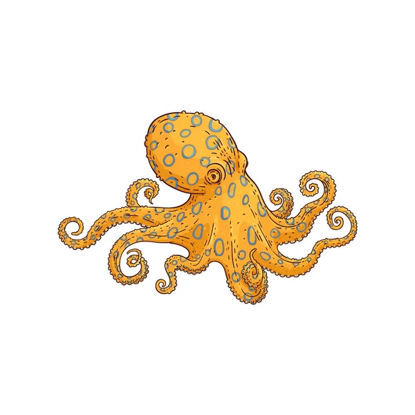 Vector yellow octopus sketch marine animal icon — Stock Vector