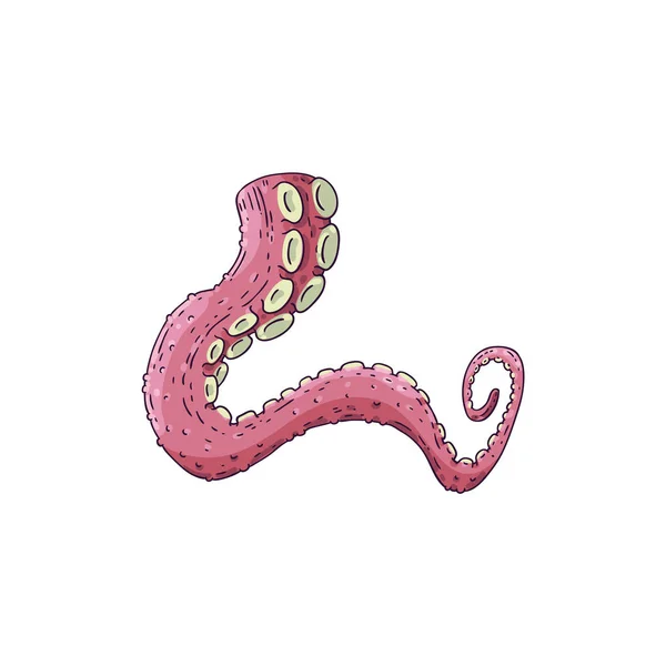 Vector ocopus or squid tentacle sketch icon — Stock Vector