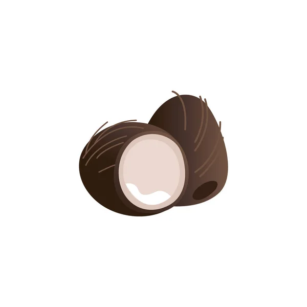 Vector kokosnoot exotische tropische vruchten cartoon icoon — Stockvector