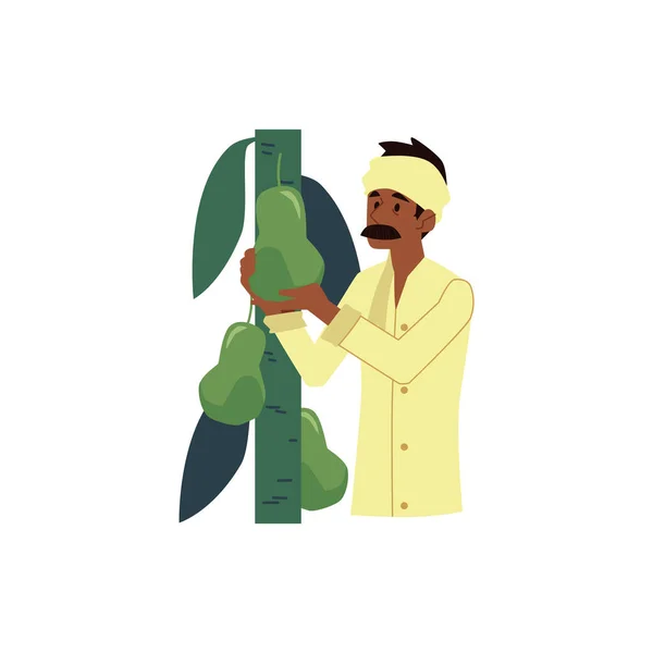 Vector agricultor indio feliz en pañuelo para la cabeza con pera — Archivo Imágenes Vectoriales
