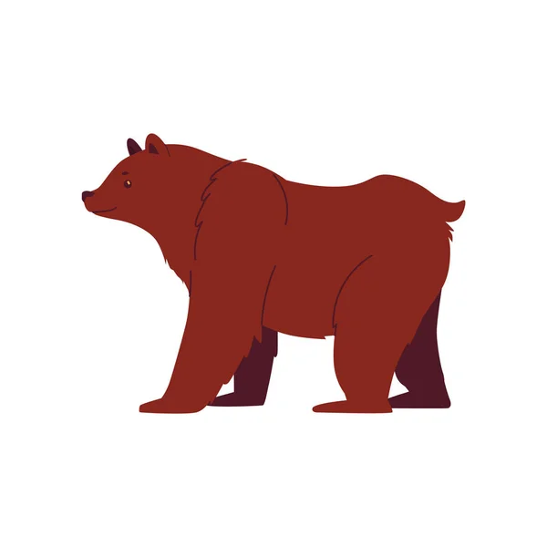 Urso pardo e pardo em um estilo de desenho animado plano . —  Vetores de Stock