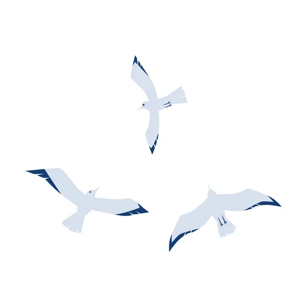 Gaviotas en un estilo plano de dibujos animados aisladas sobre fondo blanco . — Vector de stock