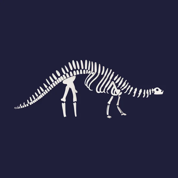 Vector diplodocus dinosaure squelette fossile icône sur — Image vectorielle