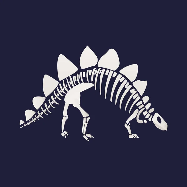 Fehér csontváz és a csontok egy stegosaurus, a kék háttér. — Stock Vector