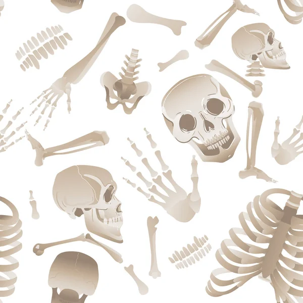 Boldog aranyos csontváz csontok varrat nélküli partern vagy Halloween háttér vektor. — Stock Vector