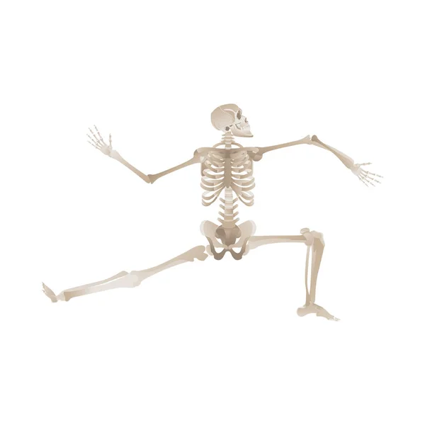 Vector plano divertido esqueleto humano icono de baile — Archivo Imágenes Vectoriales