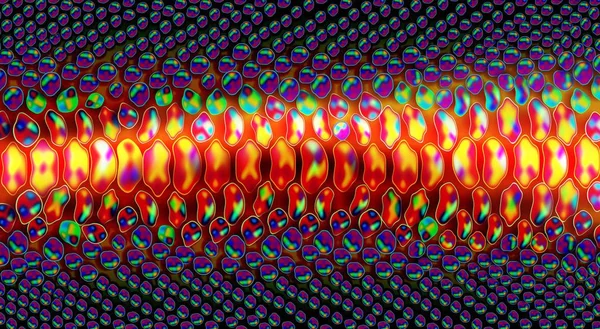 Vector snake reptile skin texture background Royalty Free Stock Vectors