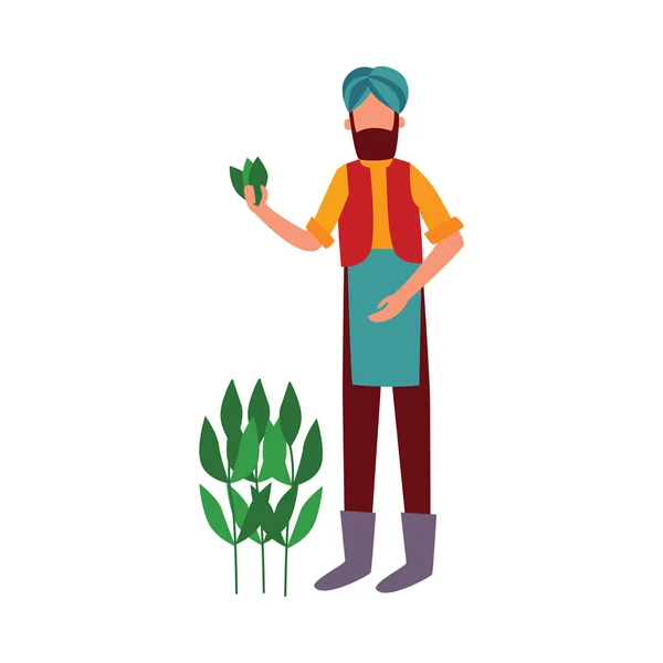 Индийский фермер стоит держа хлопковое растение листья плоские мультяшный стиль — стоковый вектор