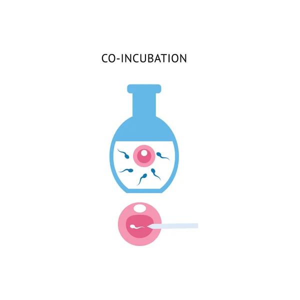 Huevo y esperma en procedimiento de coincubación, inyección de fetrilización in vitro en laboratorio médico — Archivo Imágenes Vectoriales