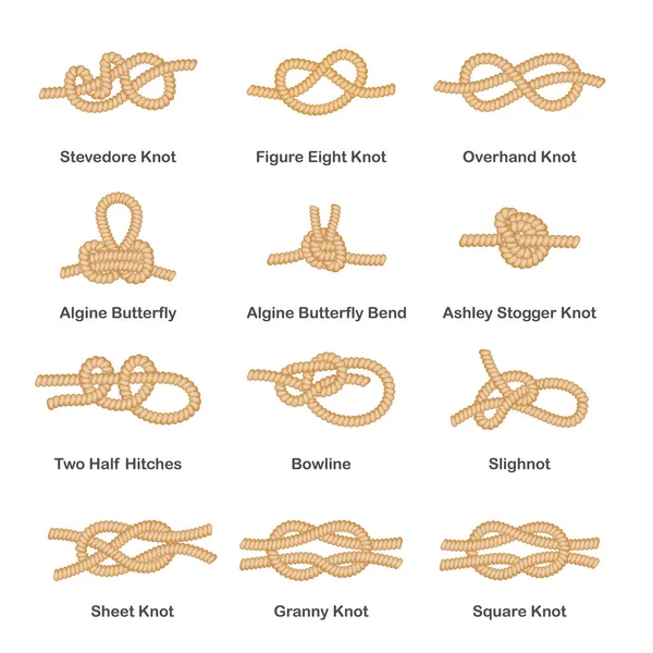 Ensemble de différents types de boucles et nœuds nautiques pour corde . — Image vectorielle