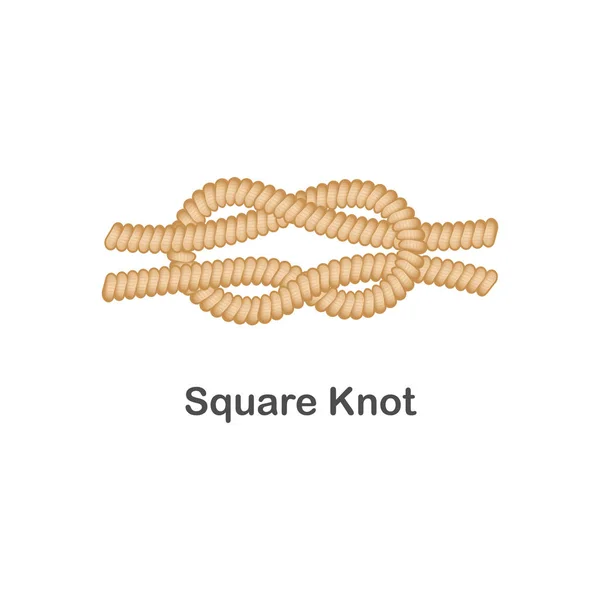 Type de noeud marin ou nautique noeud carré pour corde avec boucle . — Image vectorielle