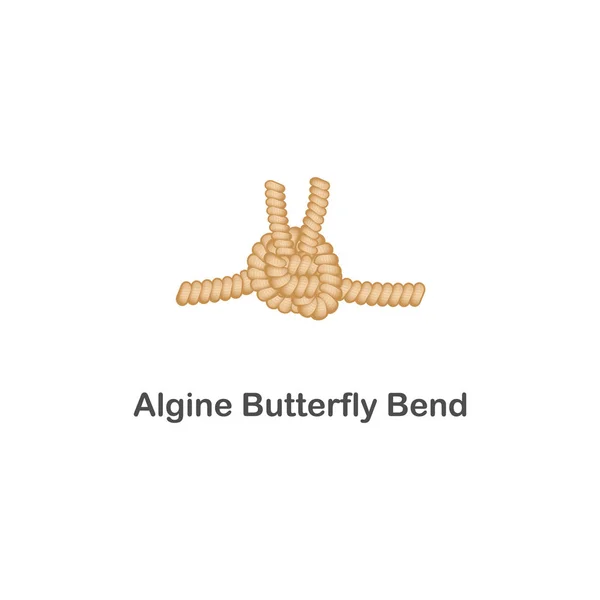 Algine butterfly bend, type of marine knot. — Stock Vector