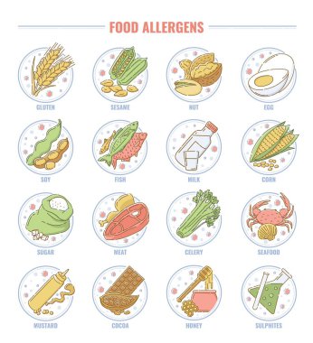 Food allergen set, collection of gluten, nut, fish, milk, lactose, edd, and other allergy products icons clipart