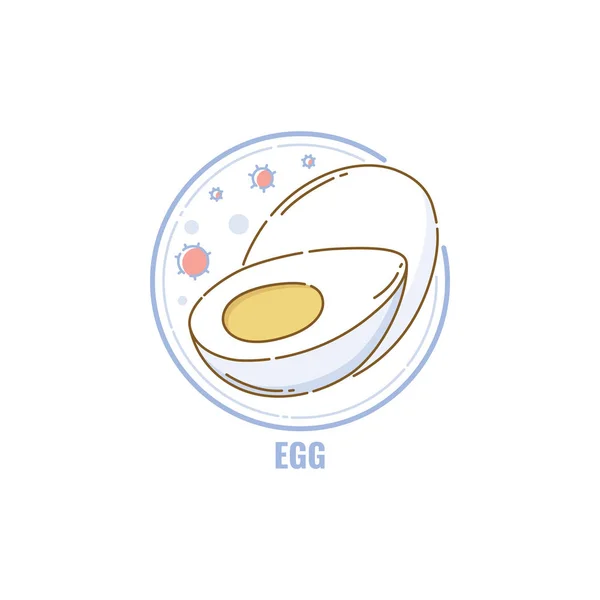 Icona di uova intere e mezze in cerchio piatto in stile lineare — Vettoriale Stock