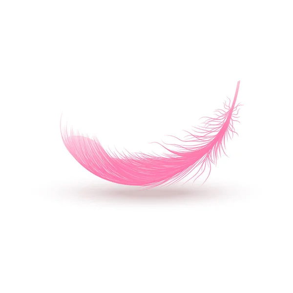 Pink swirled feather close up 3d realistic vector isolated on white background. — Stock Vector