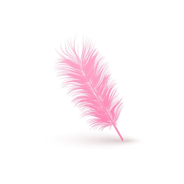 Straight pink feather close up 3d realistic vector isolated on white background. — Stock Vector
