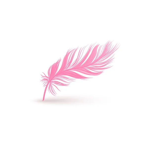 Fluffy pink feather with smooth texture isolated on white background. — Stock Vector