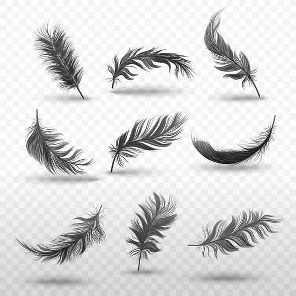 Ensemble de plumes duveteuses noires tombantes ou planantes style réaliste — Image vectorielle