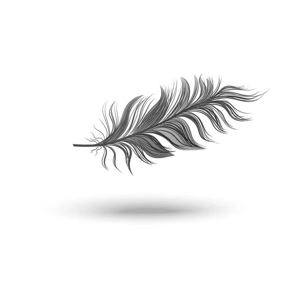 Single fluffy black feather falling or hovering on side realistic style — Stock Vector