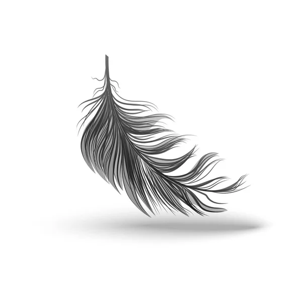 Black falling fluffy feather vector illustration isolated on white background. — Stock Vector