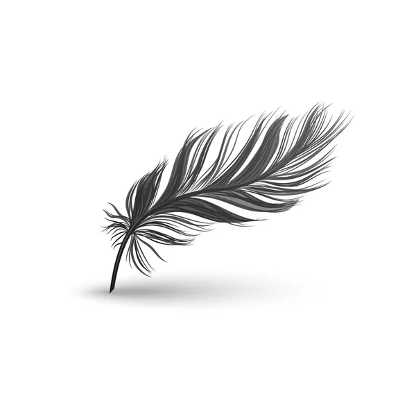 Black falling fluffy feather vector illustration isolated on white background. — Stock Vector