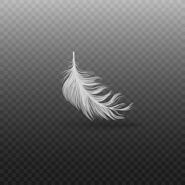 Falling and soft realistic white bird feather with fluff on a transparent background. — Stock Vector