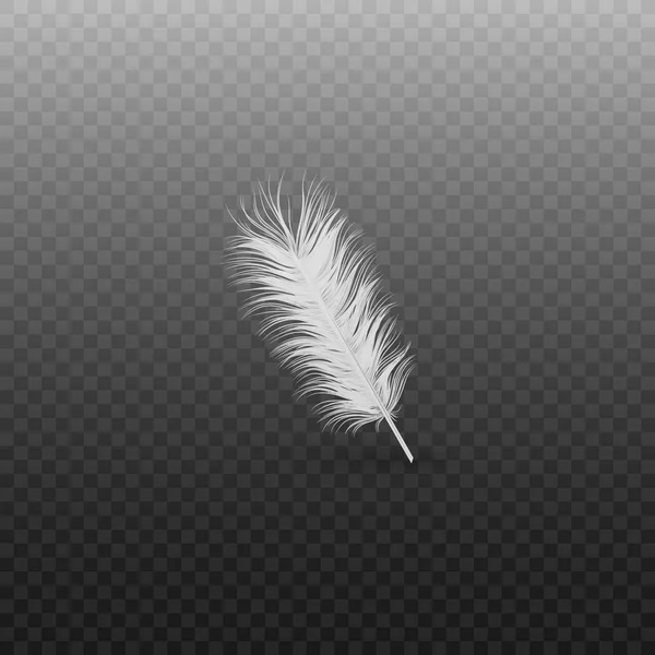 Soft realistic white bird feather with fluff of swan or goose on a transparent background.