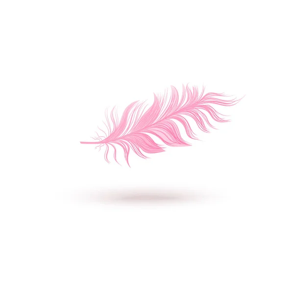 Pink floating bird feather isolated on white background — Stock Vector