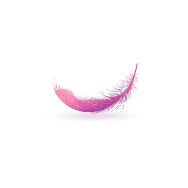 Pink fluffy feather floating in air isolated on white background — Stock Vector