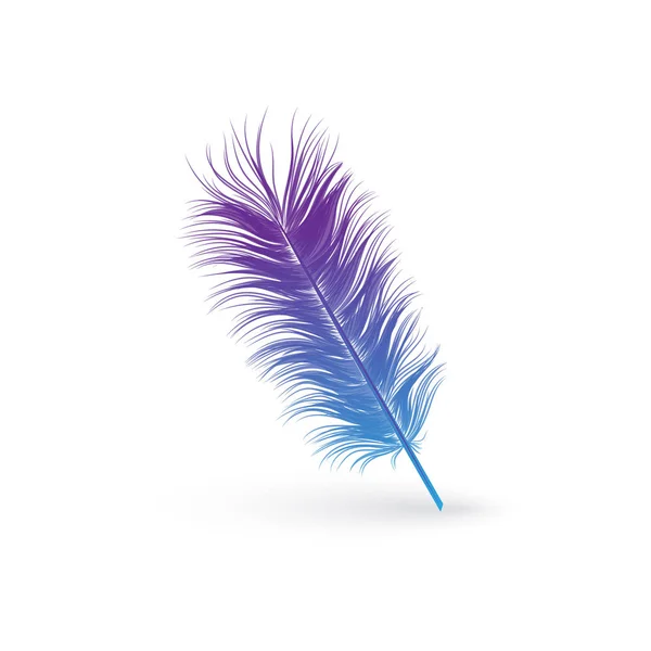 Načechraný modrý a fialový ptačí pírko — Stockový vektor
