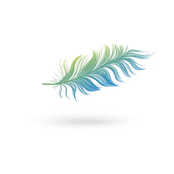 Green and blue fluffy feather floating in air — Stock Vector