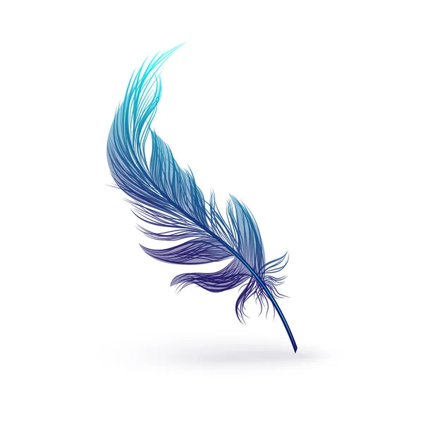 Beautiful fantastic feather with bird wing. — Stock Vector