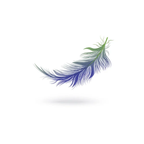 환상적인 새의 날개에서 날고 떨어지는 푸른 솜털 깃털. — 스톡 벡터