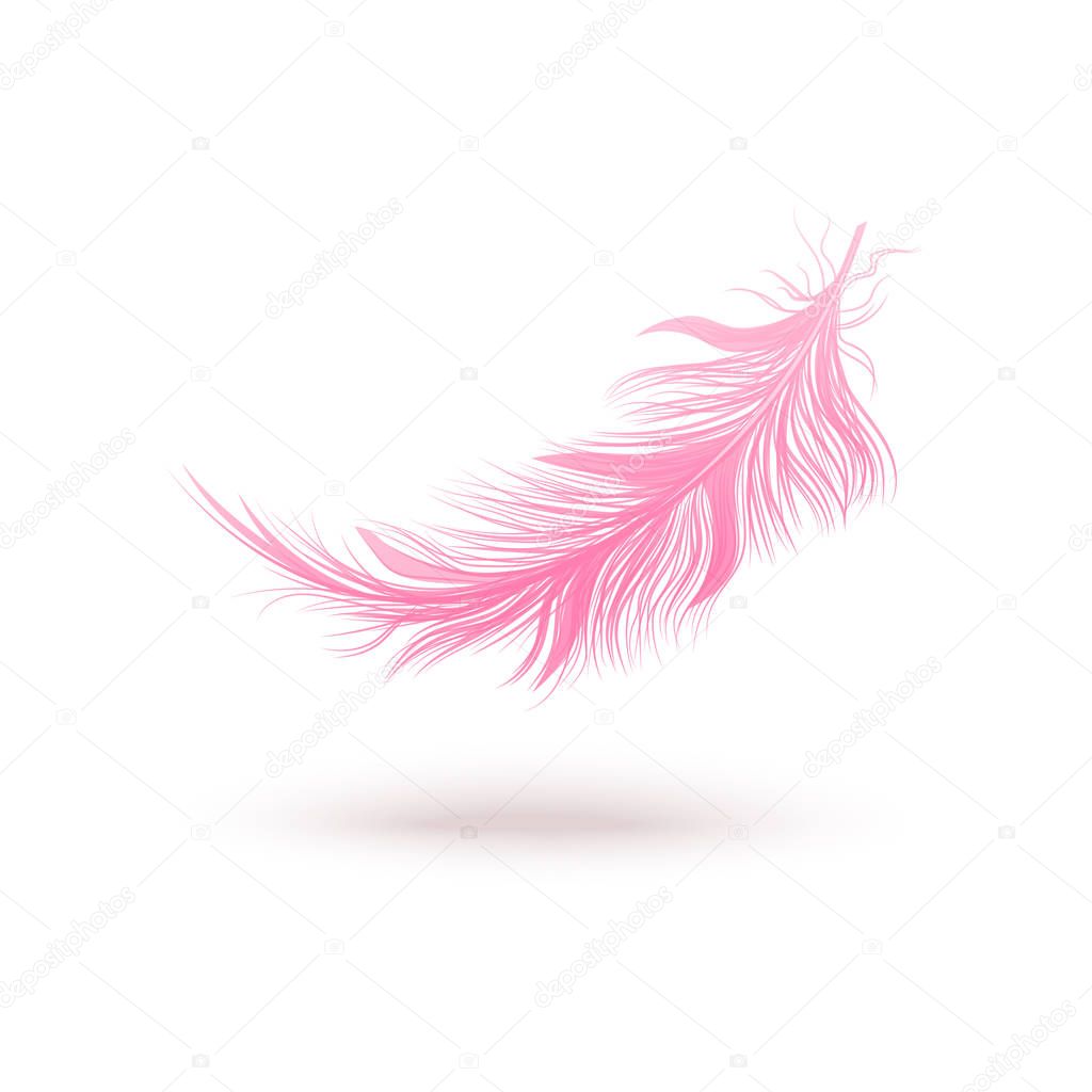 Pink feather floating in air, realistic bird quill with smooth fluffy texture falling softly on the ground