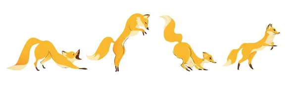 Cartoon zabawny lis w ruchu skok ilustracja kreskówka na białym tle wektor. — Wektor stockowy