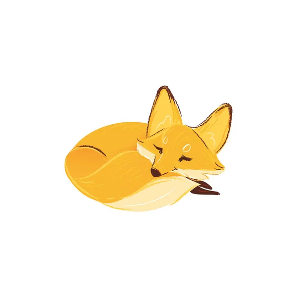 Cartoon cute fox sleeping sweet character vector illustration isolated. — Stock Vector