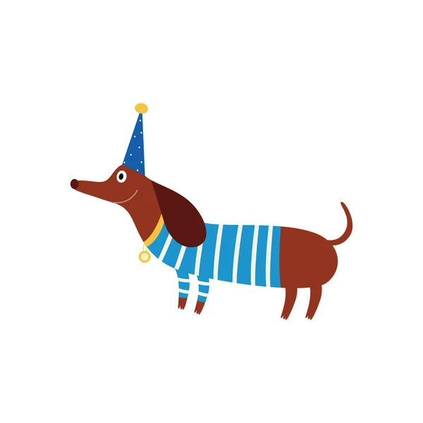 Teckel puppy dragen trui en verjaardag hoed vector illustratie geïsoleerd. — Stockvector