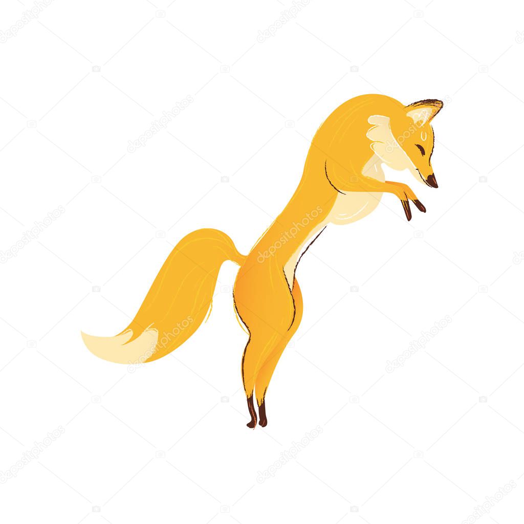 Red forest fox with a big red and orange lush tail jumps and hunts.