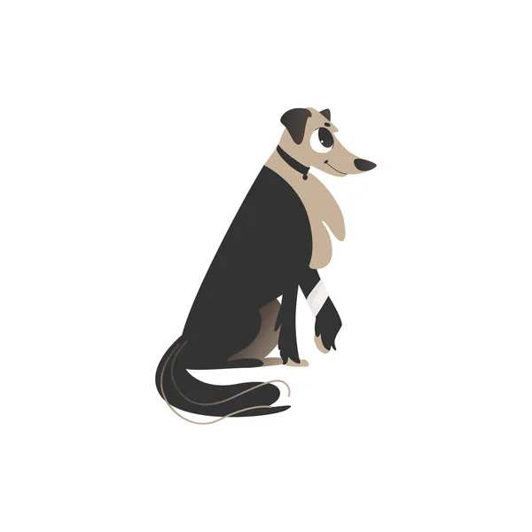 Σκύλος κάθεται με ένα πόδι σηκωμένο και τυλιγμένο σε ένα στυλ κινουμένων σχεδίων επίδεσμο — Διανυσματικό Αρχείο
