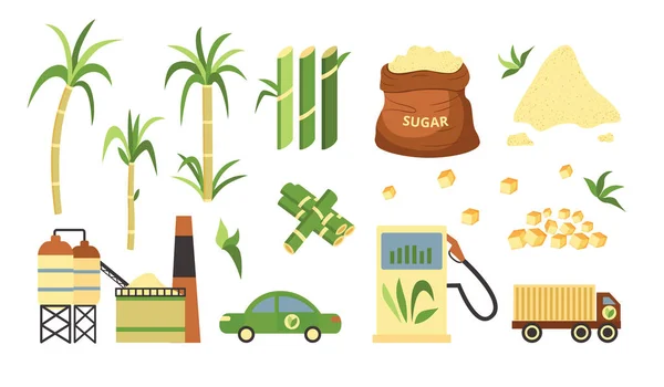 Set di piante e prodotti a base di canna da zucchero, carburanti alternativi e polveri tagliate a cubetti e granulate di canna da zucchero — Vettoriale Stock