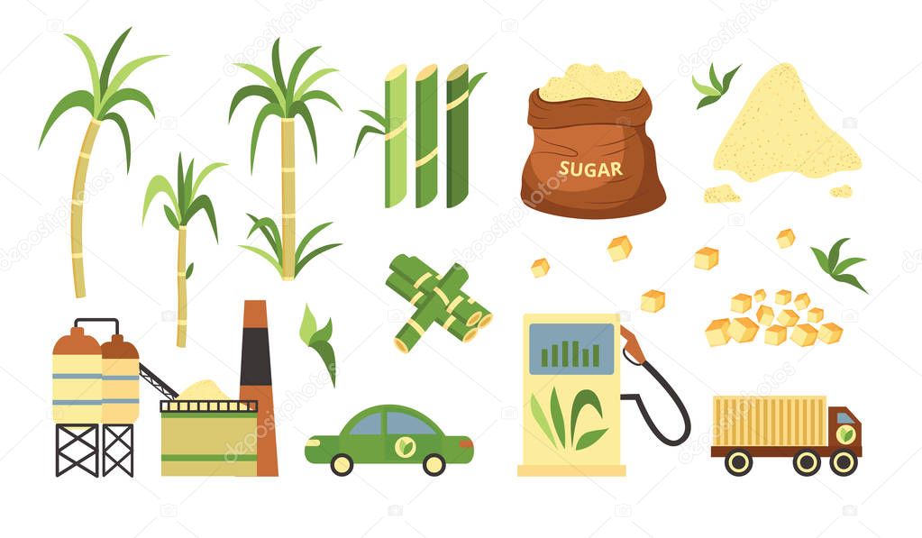 Sugarcane plant and produce set, alternative fuel and cubed and granulated powder of sugar cane