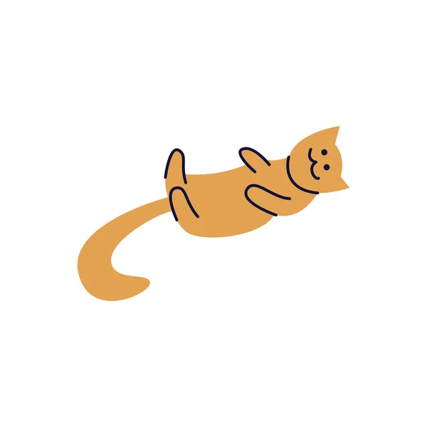 Gato o gatito pone en su espalda ilustración de la línea vectorial aislado en el fondo . — Vector de stock